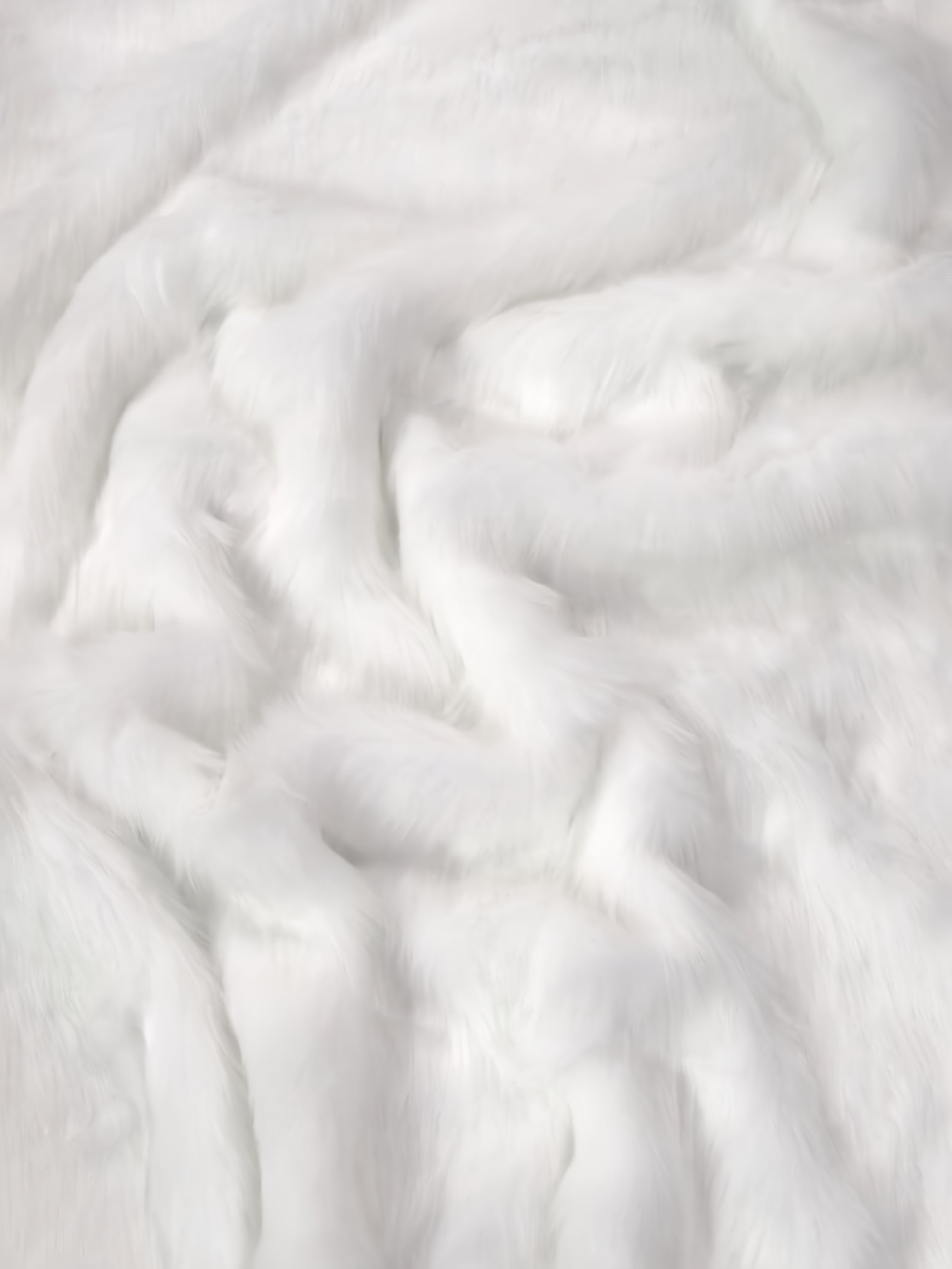 White Arctic Fox