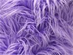 Lilac Mongolian