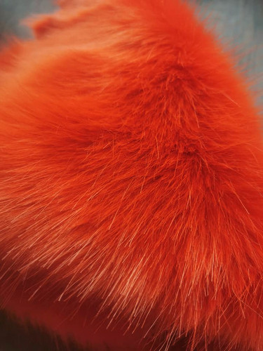 Brilliant Umber "Teddy Fox"