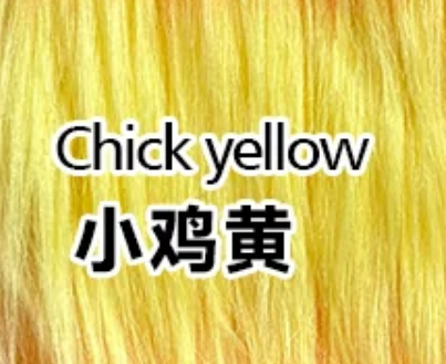 Chick yellow 小鸡黄