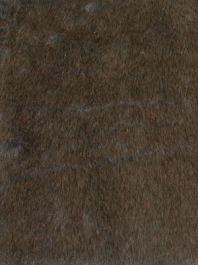 Slate Gray Seal