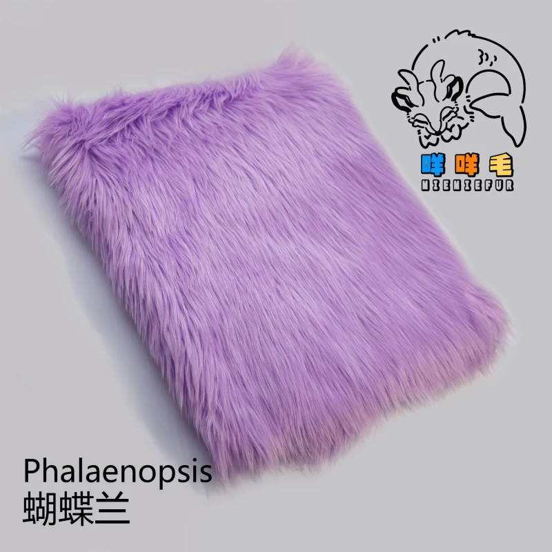Phalaenopsis