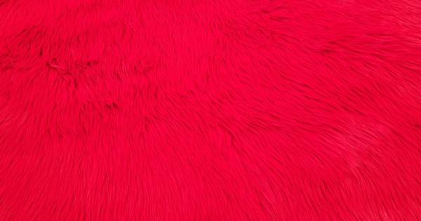 Fire Red Luxury Shag