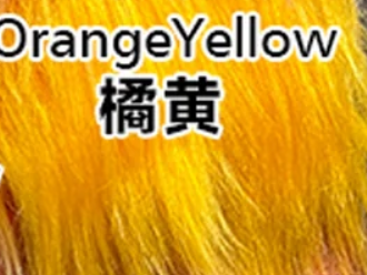 Orange Yellow 橘黄
