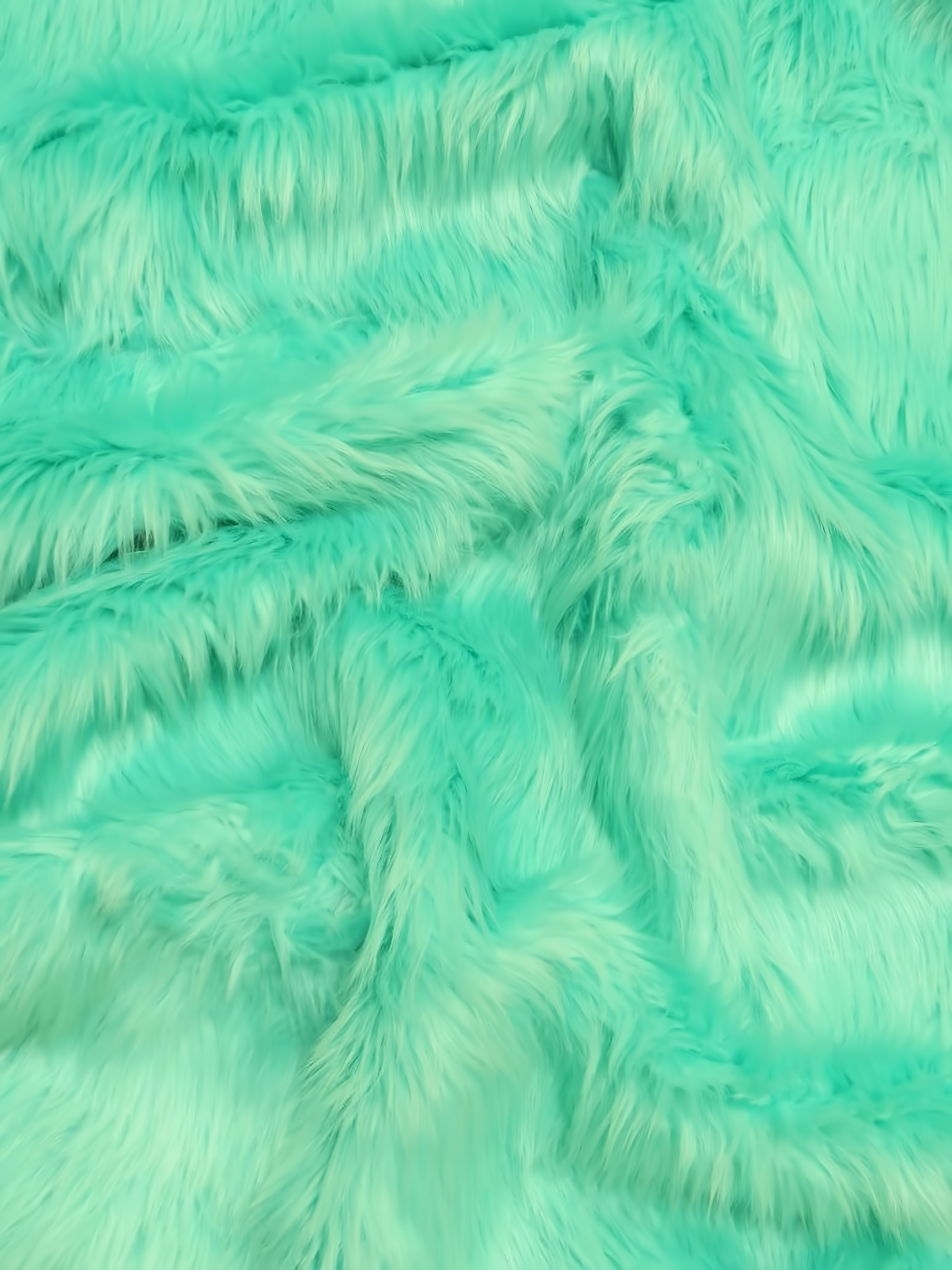 Aqua Shaggy