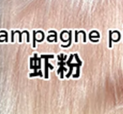 Champagne pink 虾粉