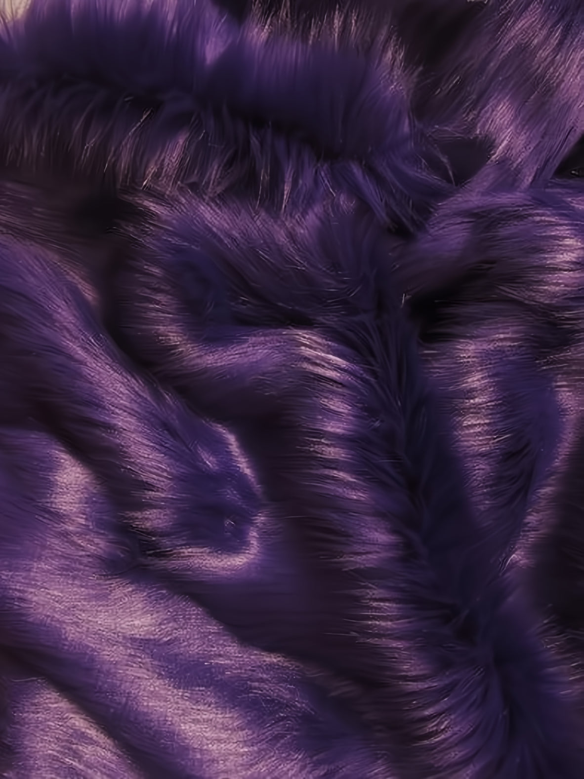 Purple Shaggy