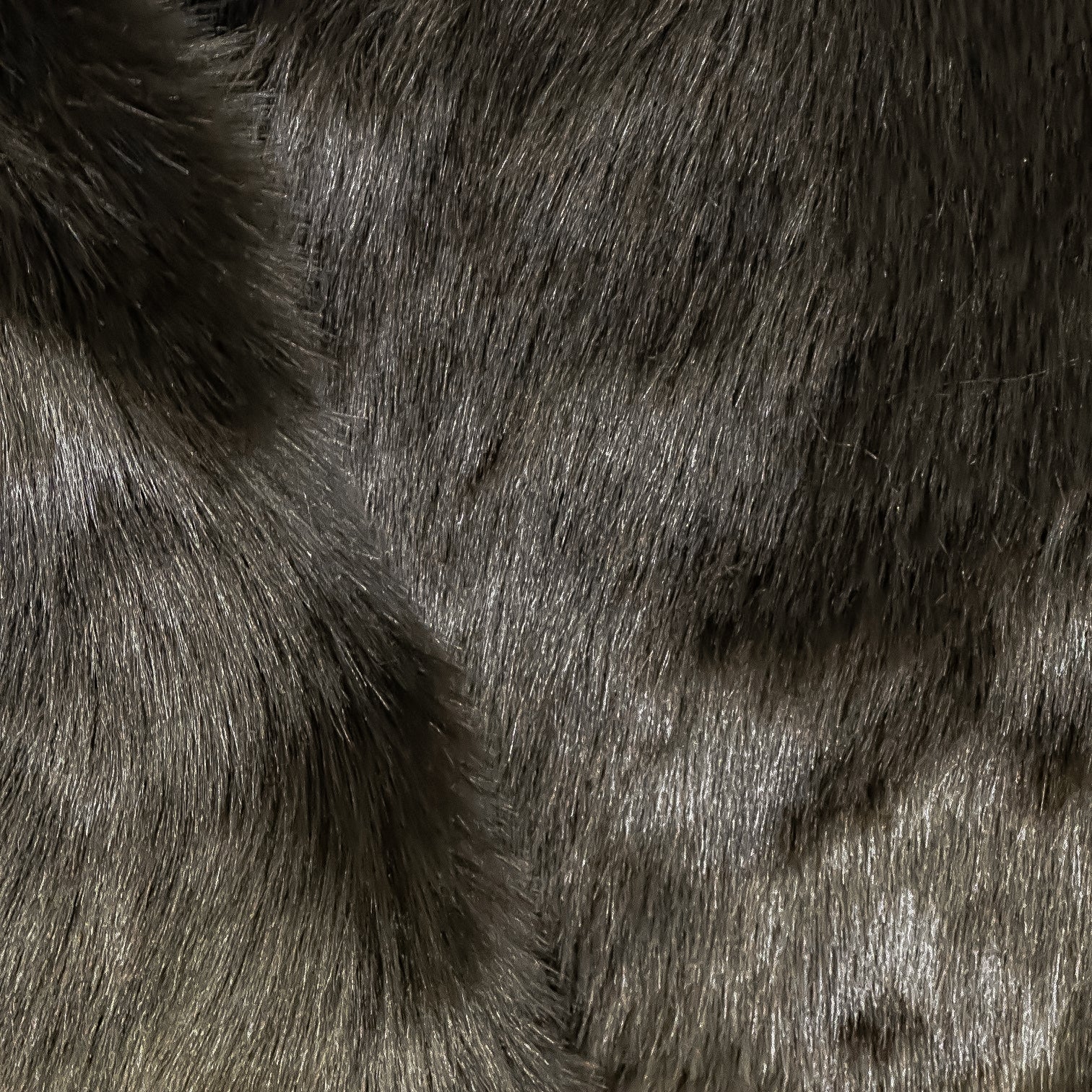 Dark Brown Bear Cub