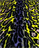 Black, Peach, Yellow, Purple