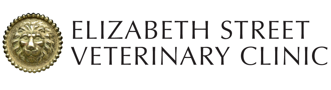 Elizabeth Street Vet