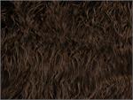 Chocolate Mongolian Sheep