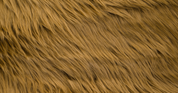 Caramel Luxury Shag