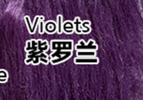 Violet 紫罗兰