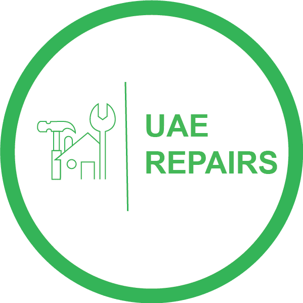 UAE Repairs Dragon Mart