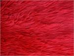 Red Shaggy