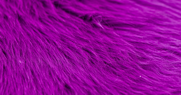 Grape Luxury Shag