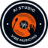 VibeMusicing logo