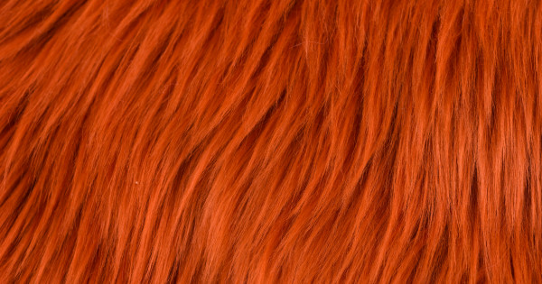 Rust Luxury Shag