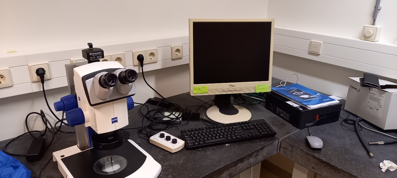 Zeiss V8 (stereo light)