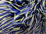 Black Royal Blue Green