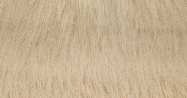 Camel Luxury Fox