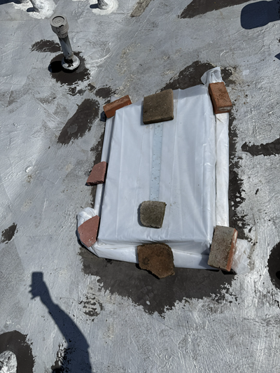 lansingskylight2.png