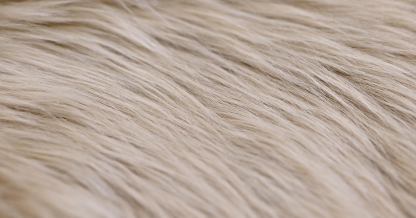 Sand Luxury Shag