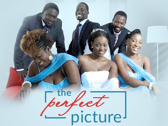 Picture Perfect poster