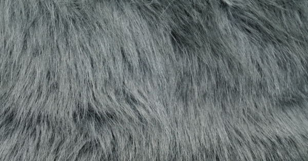 Gray Luxury Fox