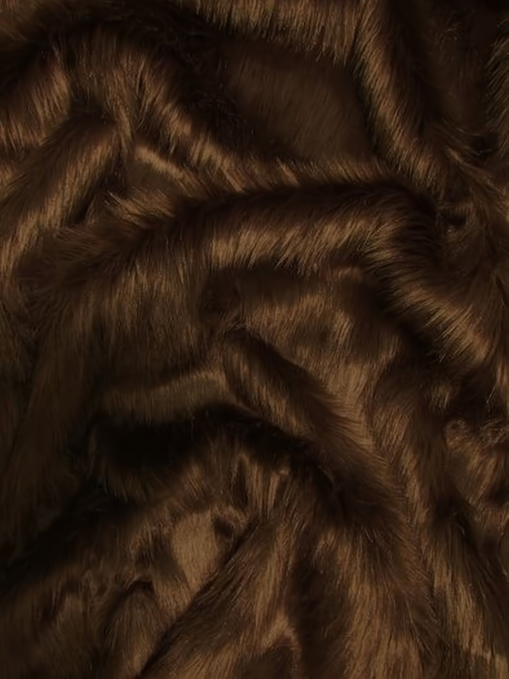 Light Brown Shaggy