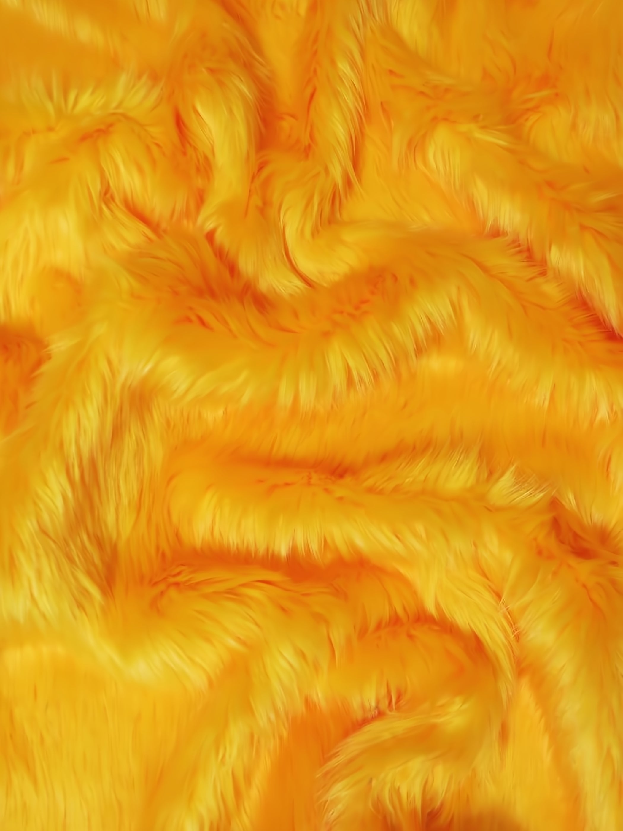 Mango Shaggy