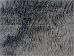 Grey Shaggy