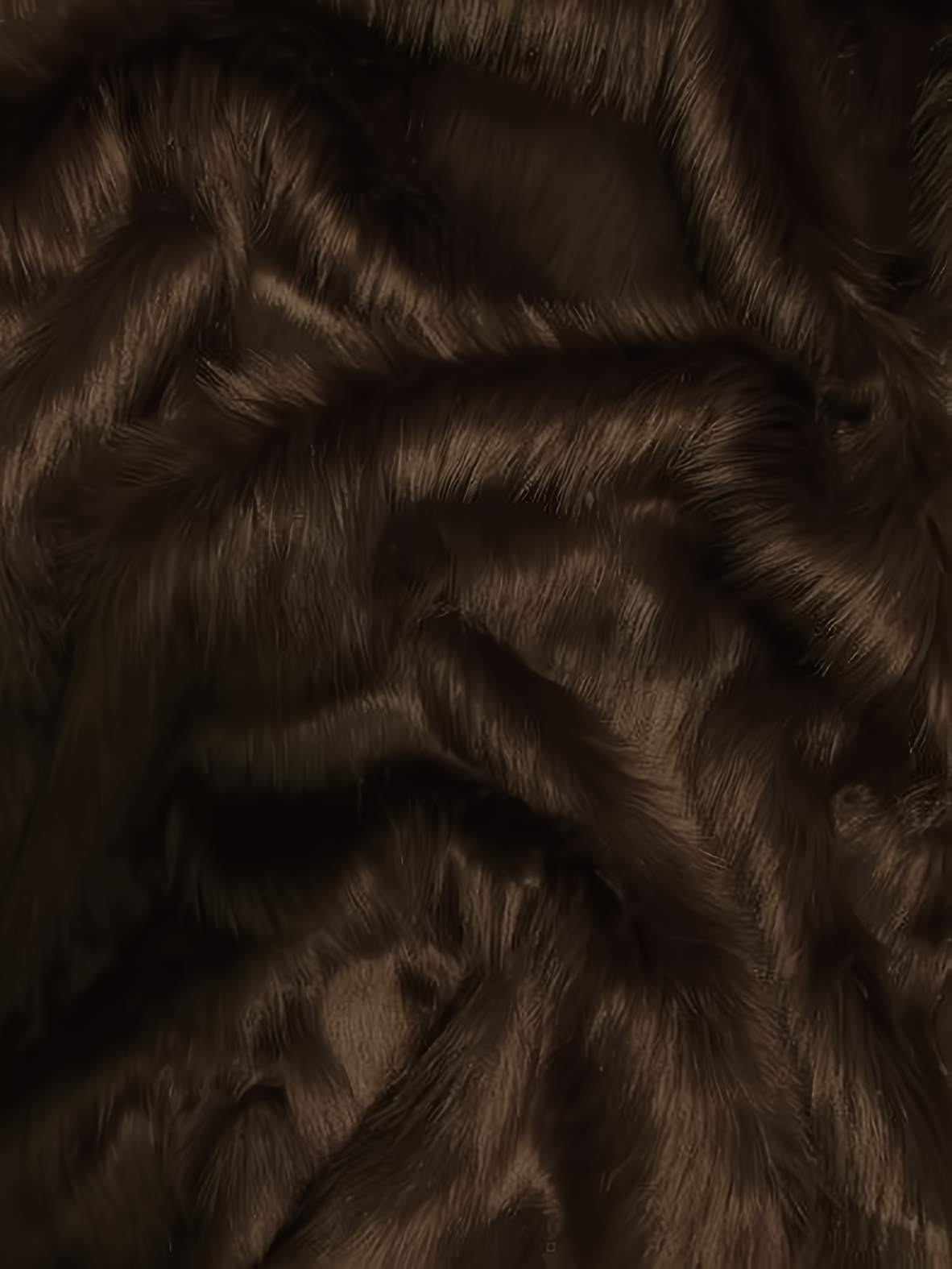 Brown Shaggy