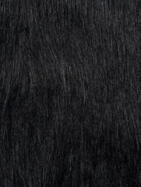 Black Monster