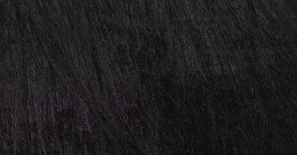 Black Monster
