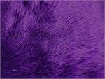 Purple Shaggy