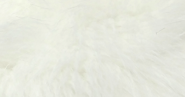 White Luxury Fox faux fur swatch