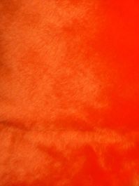 Orange Seal