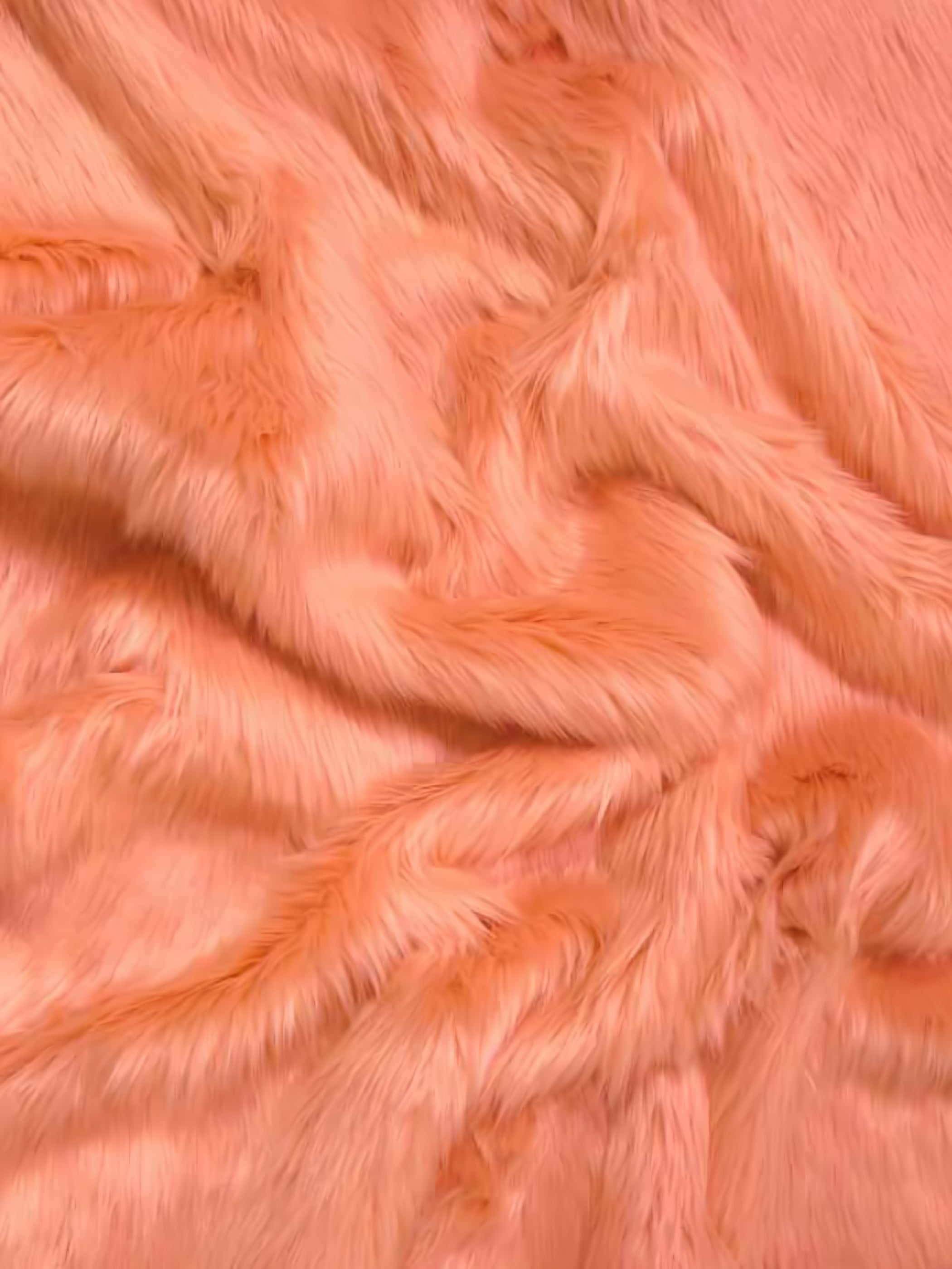 Papaya Shaggy