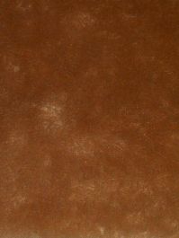 Camel Plush