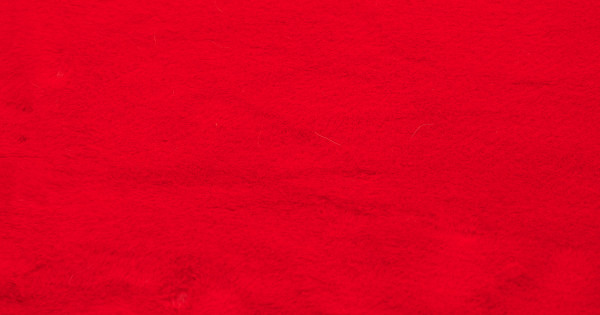 Fire Red Beaver/Seal