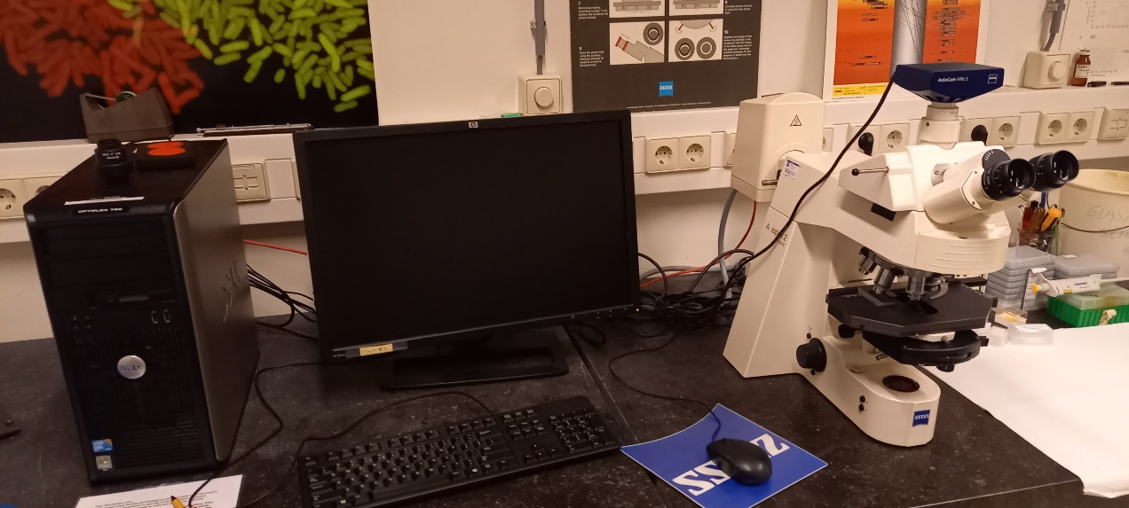 Zeiss Imager M2 (DIC)