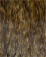 Grizzly Bear