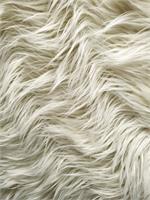 Ivory Mongolian Sheep