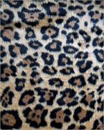 Leopard Fur