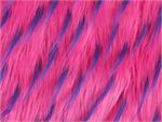 Fuchsia Purple