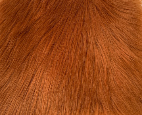 Amber Luxury Shag