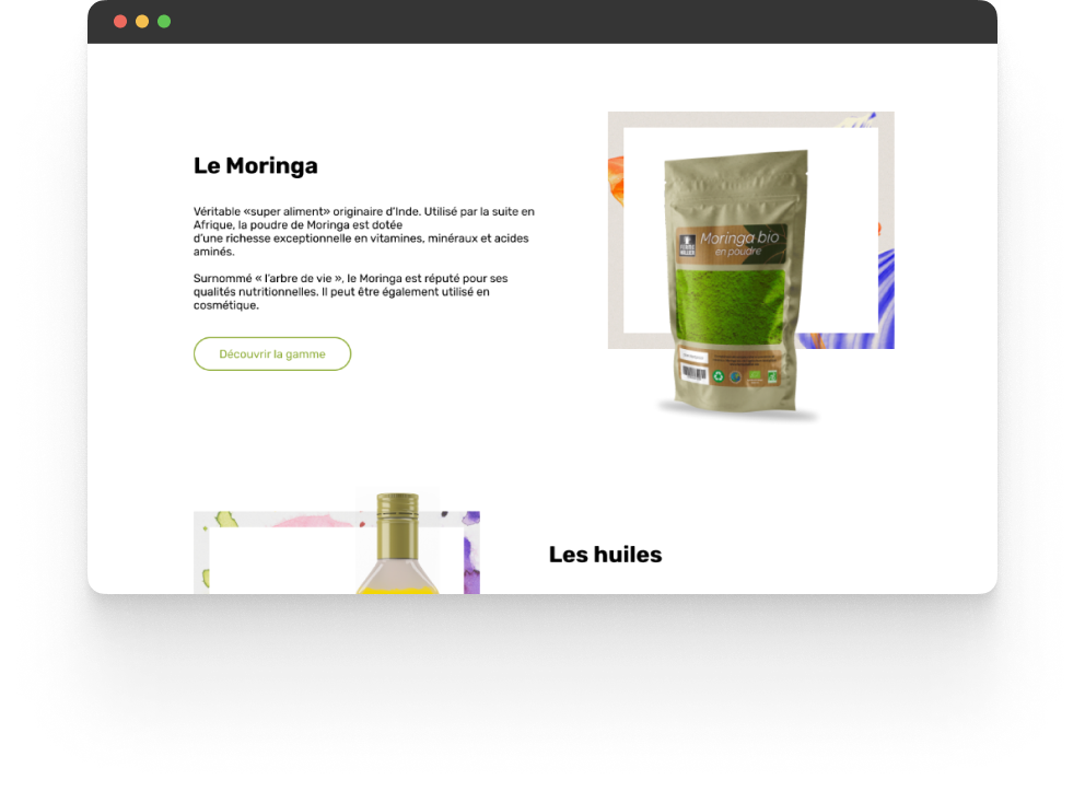 Teranga & co — visuel 3