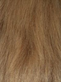 Palomino Fox