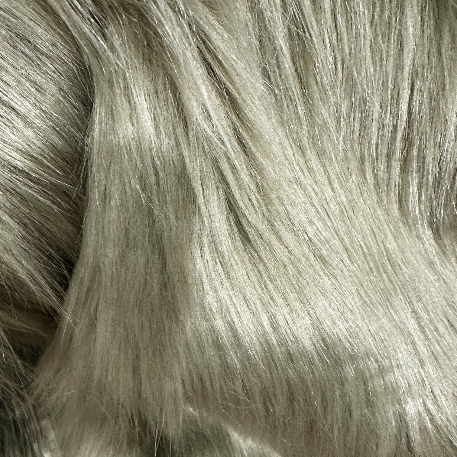 Zulu Oyster